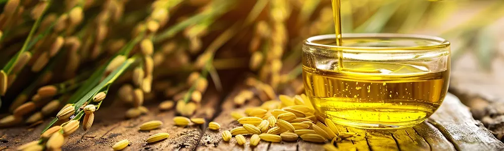 Rice Bran Oil