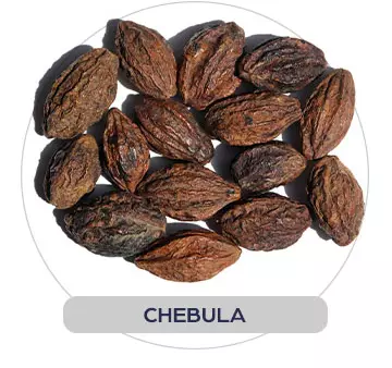 chebula