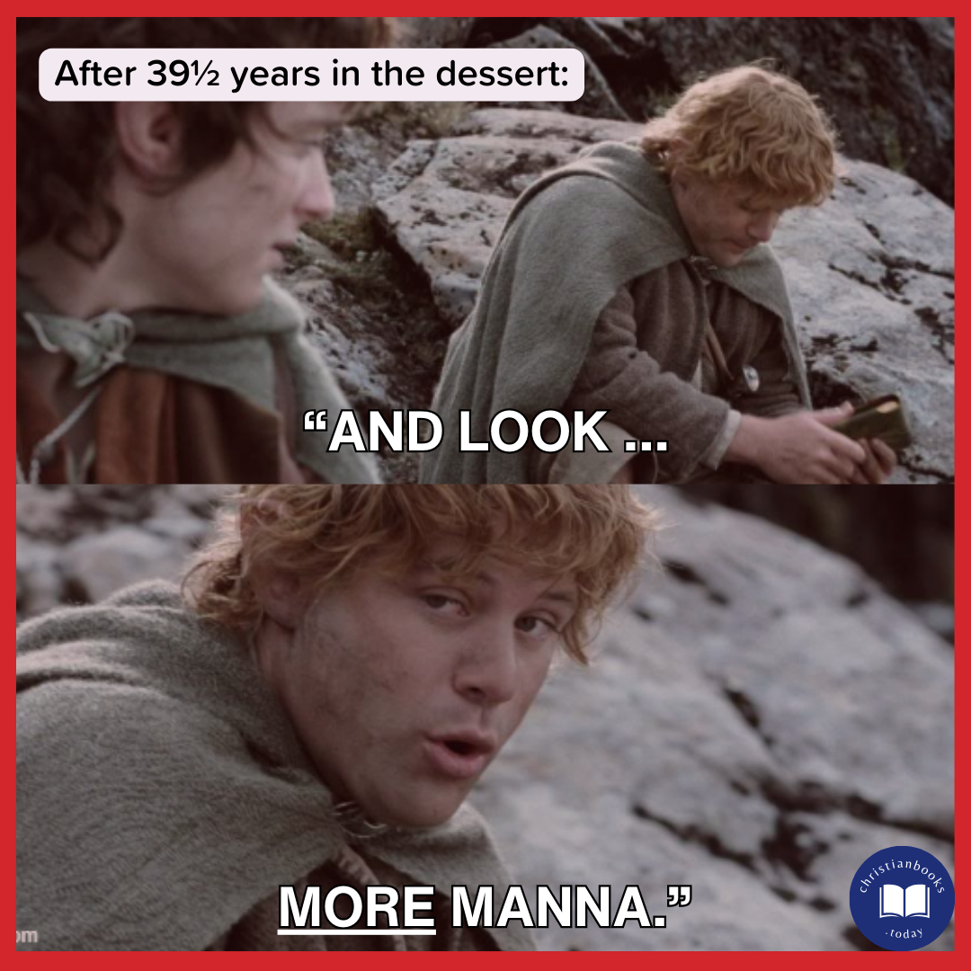 Sam giving Frodo lembas bread. Caption: After 39.5 years in the dessert "And look. More manna."