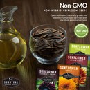 Non-GMO, non-hybrid, heirloom sunflower seeds for planting