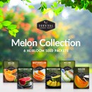 Melon collection - 6 heirloom seed packets