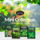 Mint Seed Collection - 4 heirloom seed packets