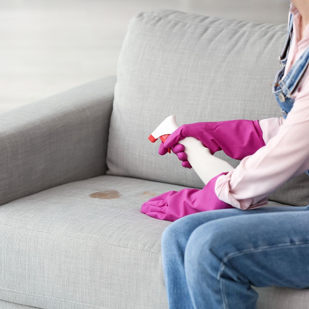 Woman cleaning sofa