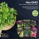 Non-GMO, non-hybrid heirloom vegetable seeds for your survival