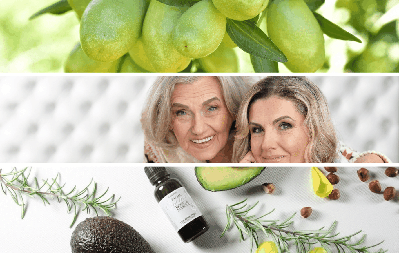 5 Best Face Oil Friendly Plant Oils for Dry, Sensitive Skin