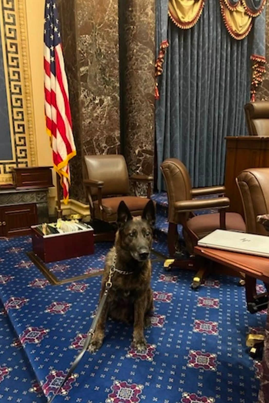 k9 pope at congress
