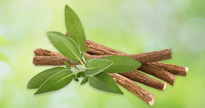 licorice root extract 1