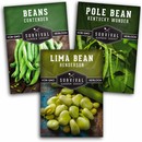 3 packets of bean seeds