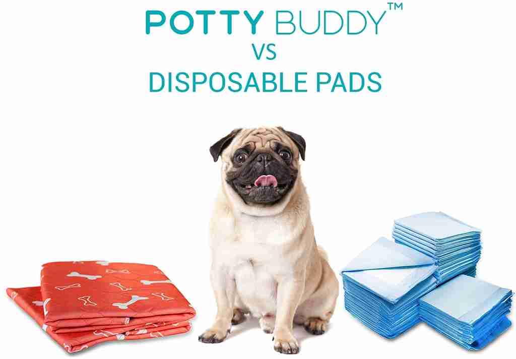Potty Buddy™ The Durable LeakFree Potty Pad