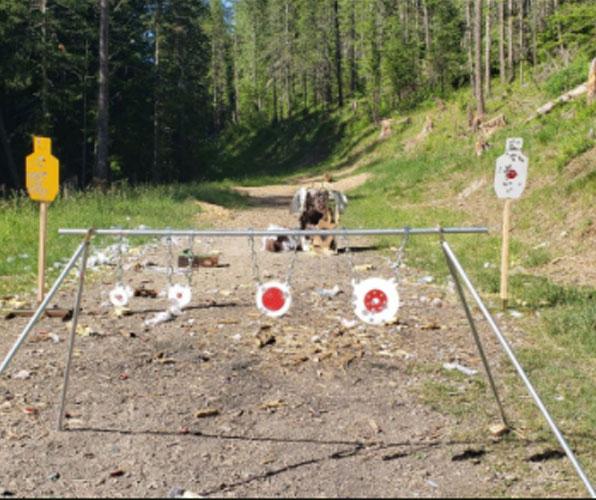 steel target ideas