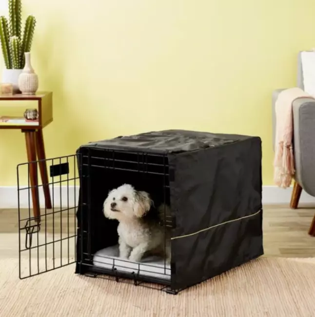 MidWest iCrate Double Door Collapsible Wire Dog Crate Kit, Black, 24 inch