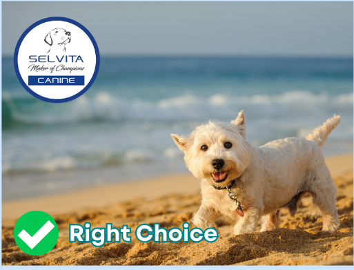 Selvita Canine Right Supplements