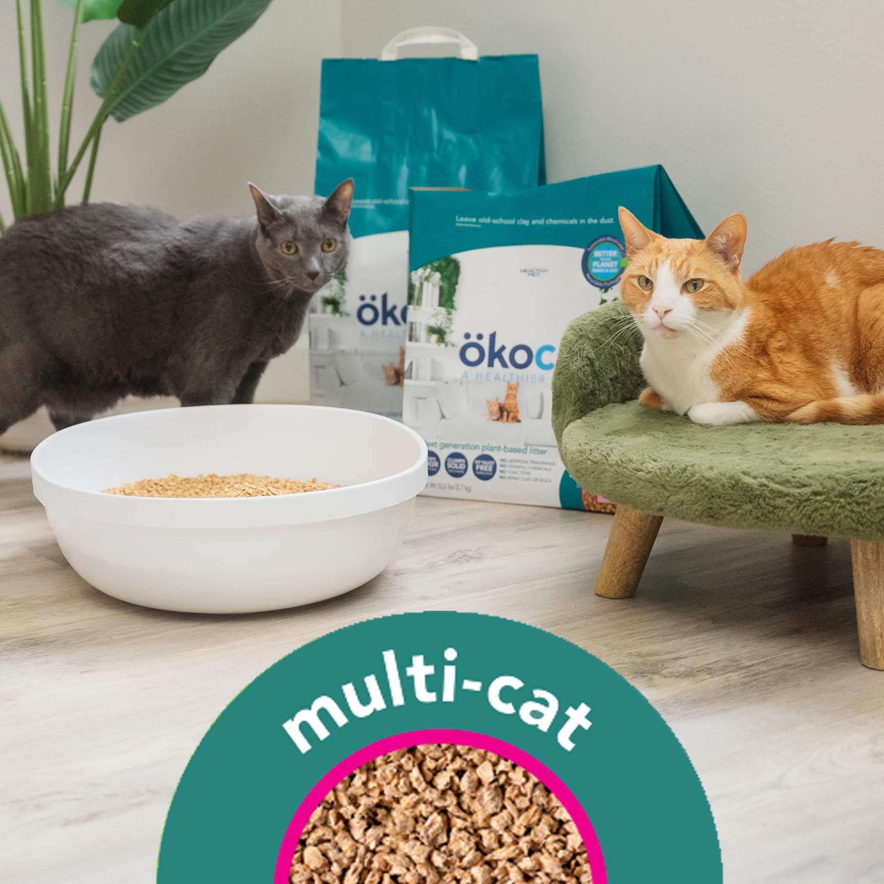 Dust Free Paper Litter