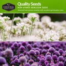 quality non-hybrid heirloom herb seeds