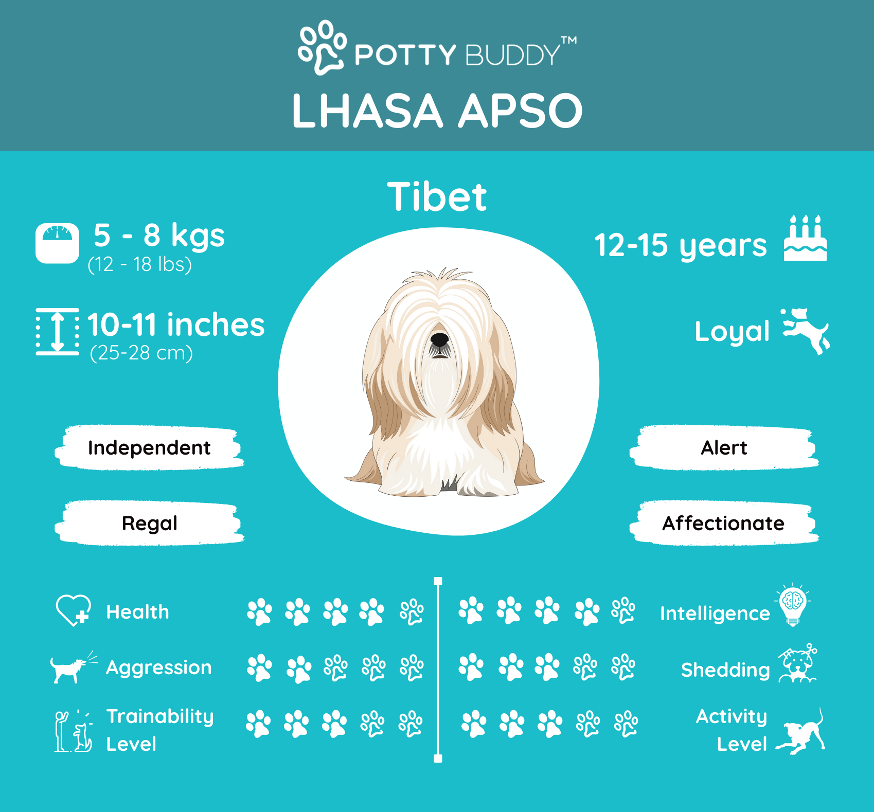 Characteristics of a Cavapoo dog