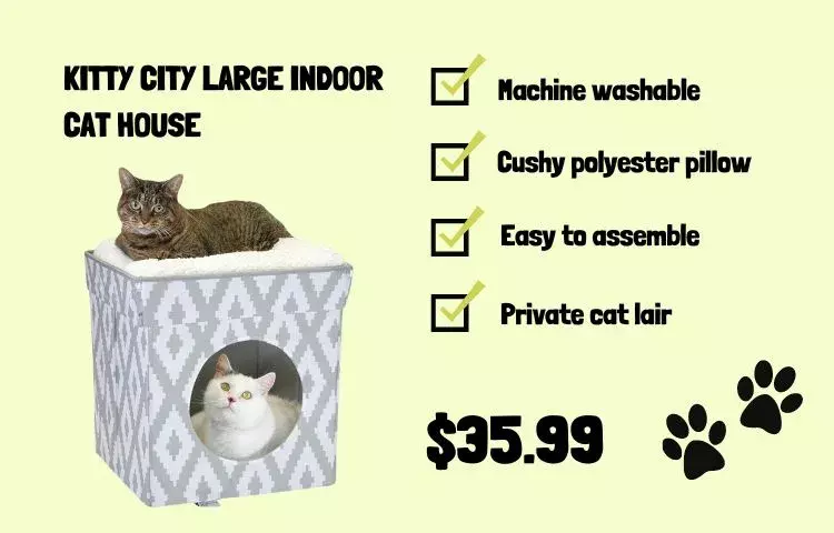 kitty city cat house