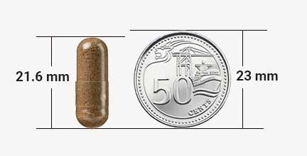 capsule size comparision