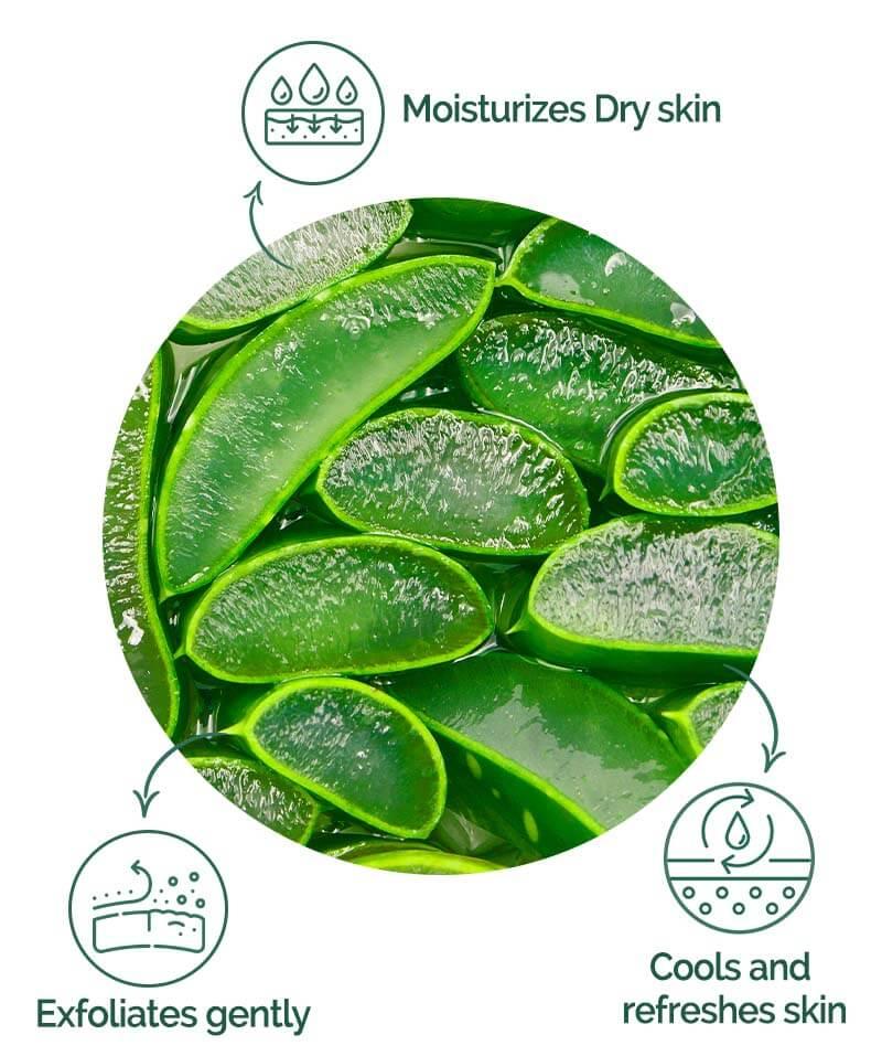 aloe vera powder