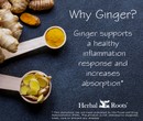 Photo of raw ginger root next to two wooden sppons. One spoon has ginger powder and the other has slices of ginger root. The text says Why Ginger? Ginger supports a healthy inflammation response and increases absorption.
