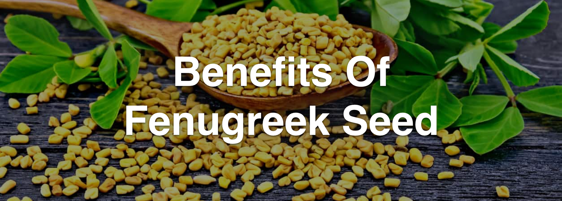 BENEFITS OF FENUGREEK SEED