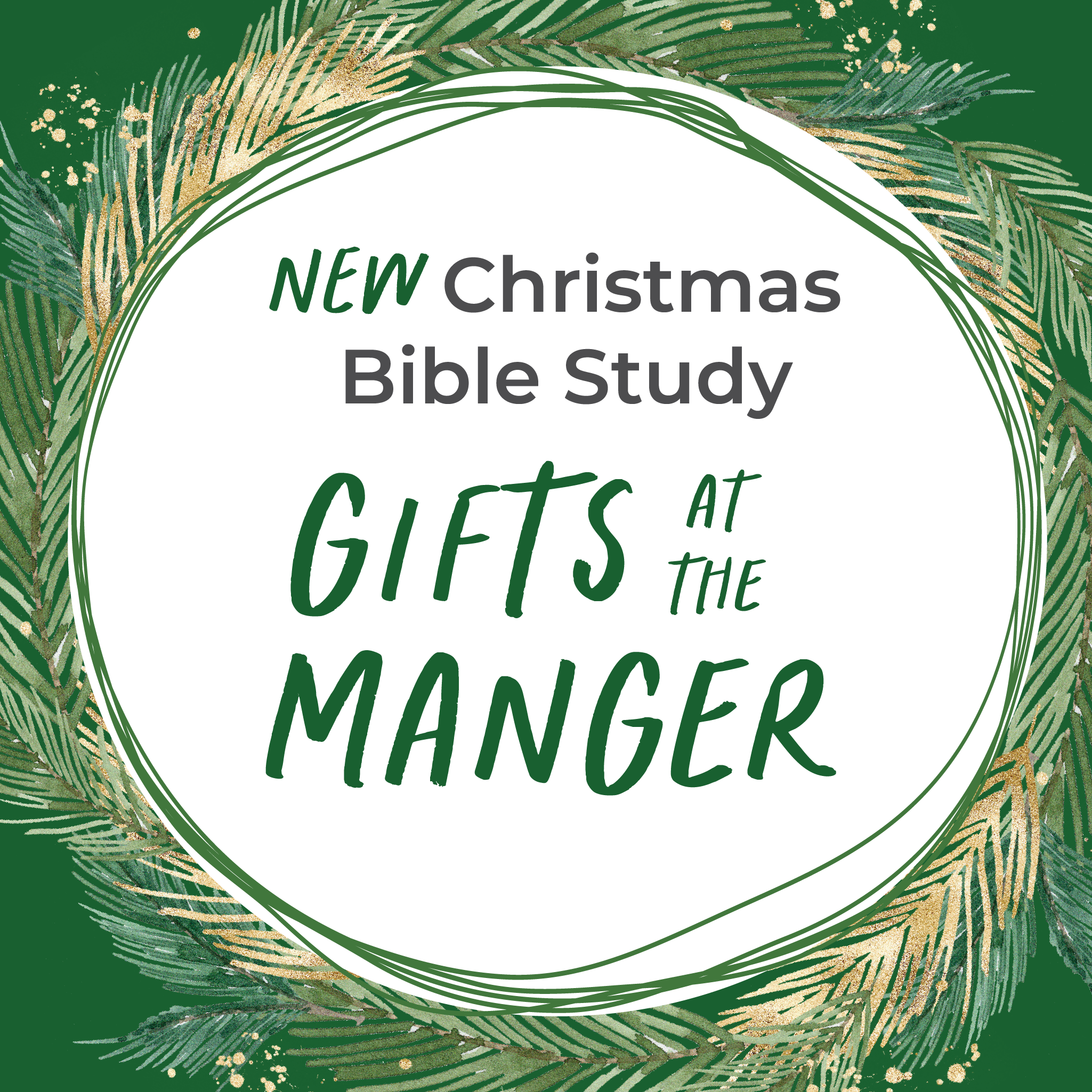 New Christmas Bible Study