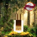 Forest of the Golden Dream bottle among pine branches and golden light