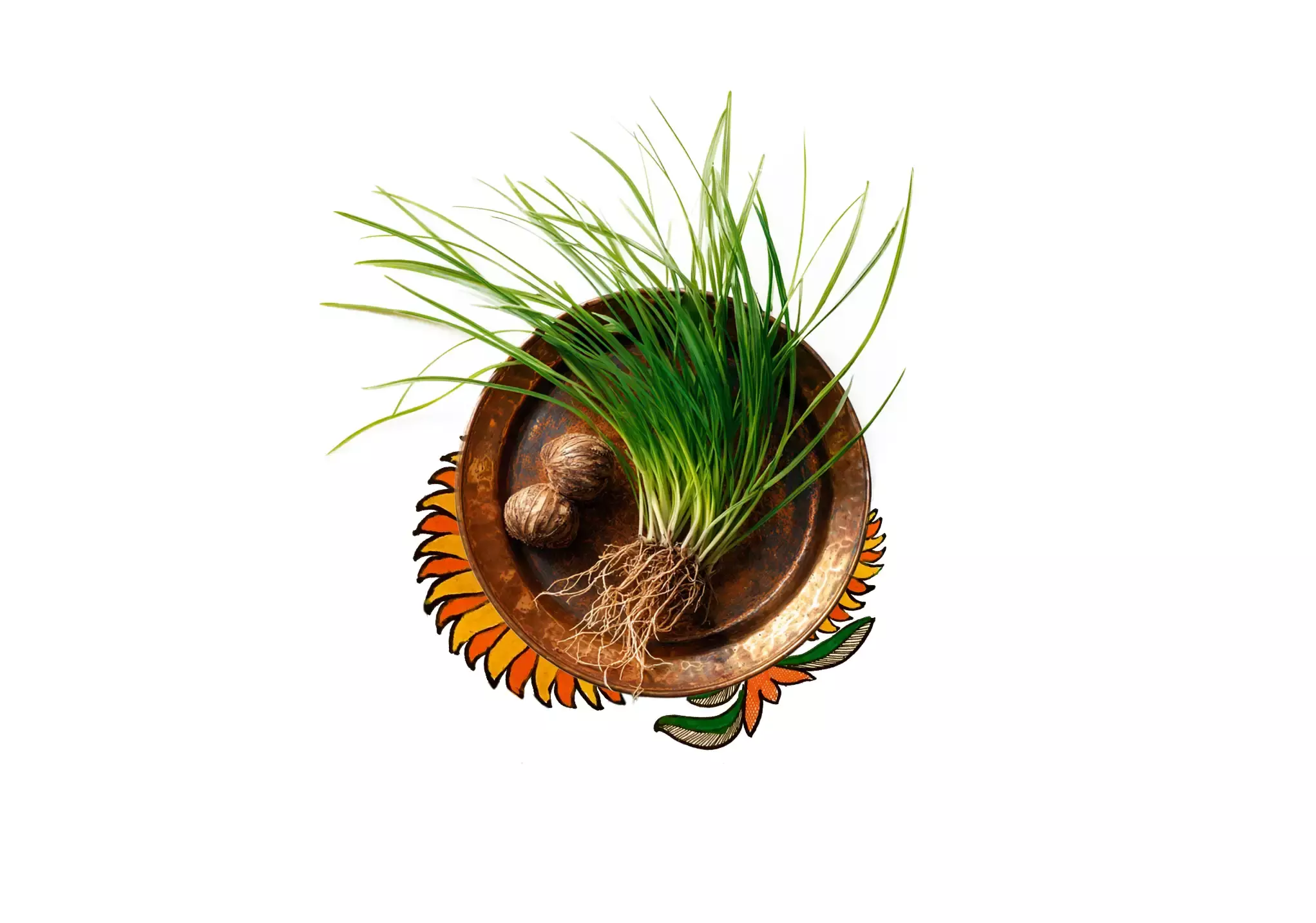 Nutsedge in a bowl