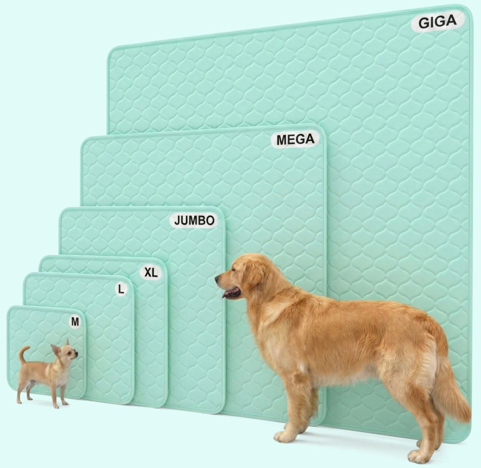 A diagram showing the various size options of the Potty Buddy reusable potty pad