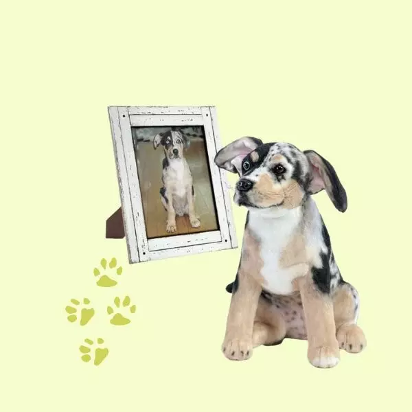 cuddle clone dog