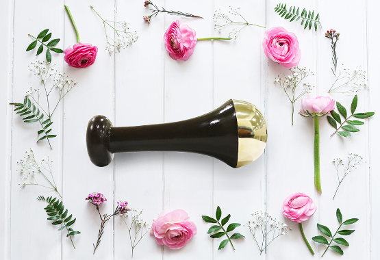 a picture of Kansa Wand surrounded by beautiful, fresh pink roses