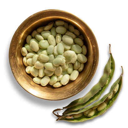 Few velvet beans surrounded by floral artworks