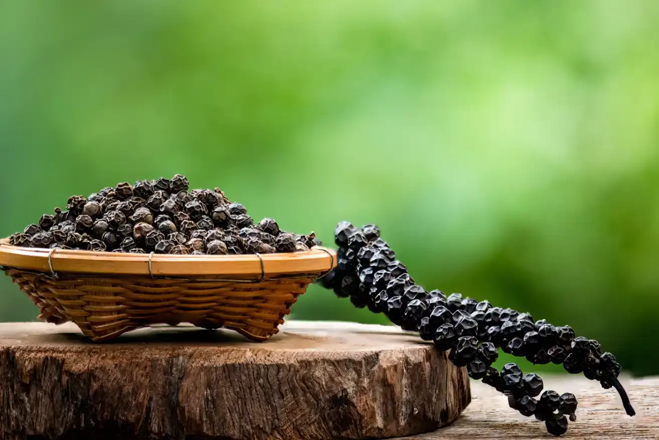 Piper Nigrum (Black Pepper) Fruit Extract