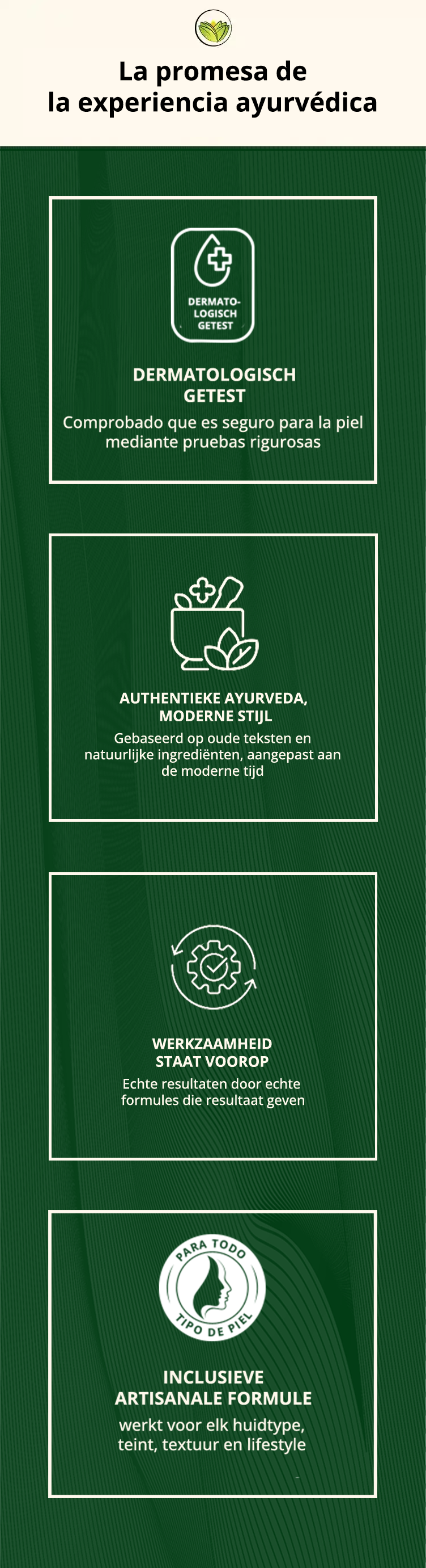 The Ayurveda Experience Promise - Mobile