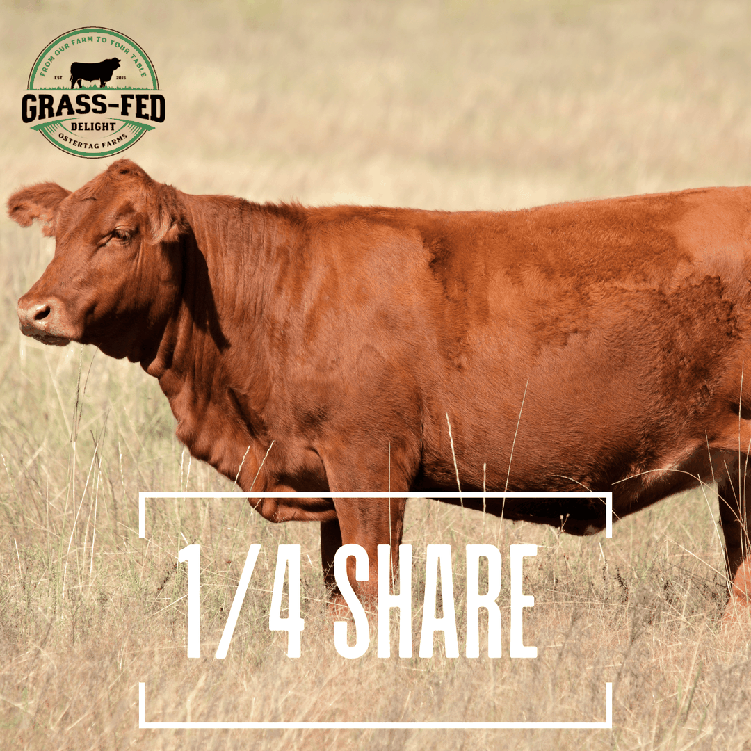 Quarter Beef Share (100+ Pounds) - Deposit Only