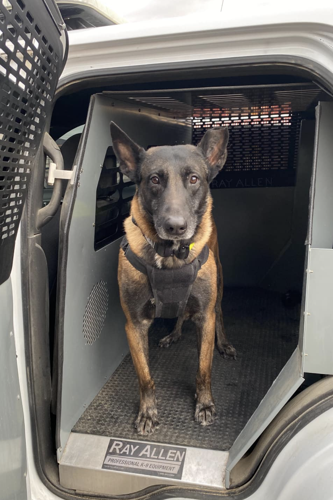 mwd cash at work
