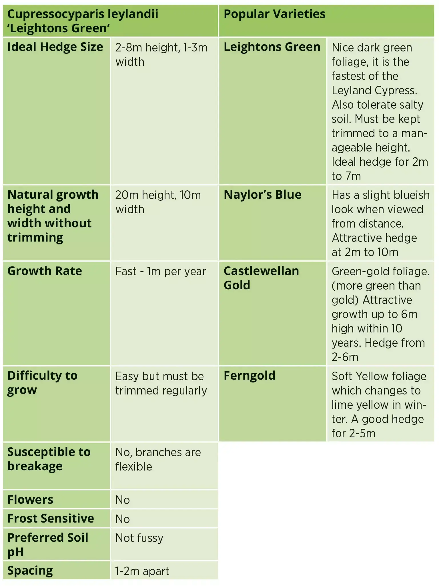 Table outlining Leyland Cypress ‘Leightons Green’ hedge size, growth rate, care needs, spacing, and popular varieties.