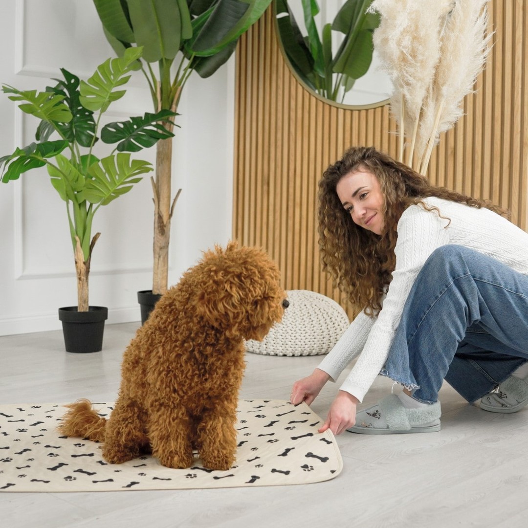 An Akita Inu dog using the Potty Buddy reusable potty pad on the floor
