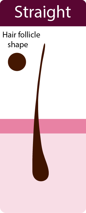 Straight hair follicle