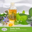 quality herb seeds