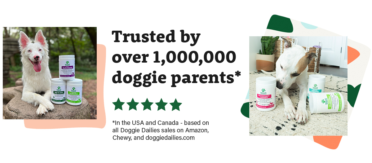 Trusted by over 1,000,000 doggie parents