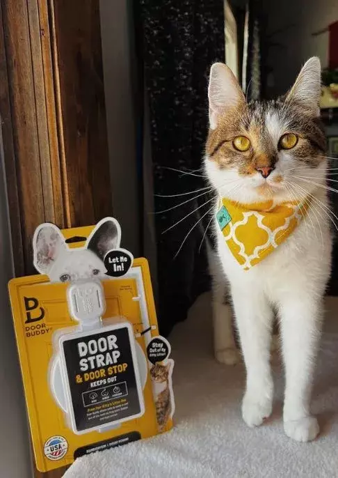 door buddy and a cat
