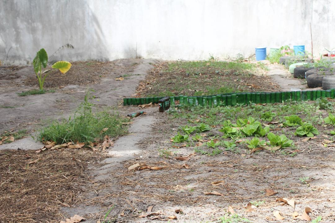 Regeneration is so important to the future sustainability of our planet