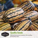 Quality vegetable garden seeds with excellent germination rates
