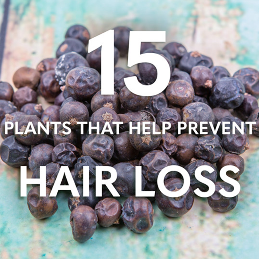 15 Plants Prevent Female Pattern Hair Loss
