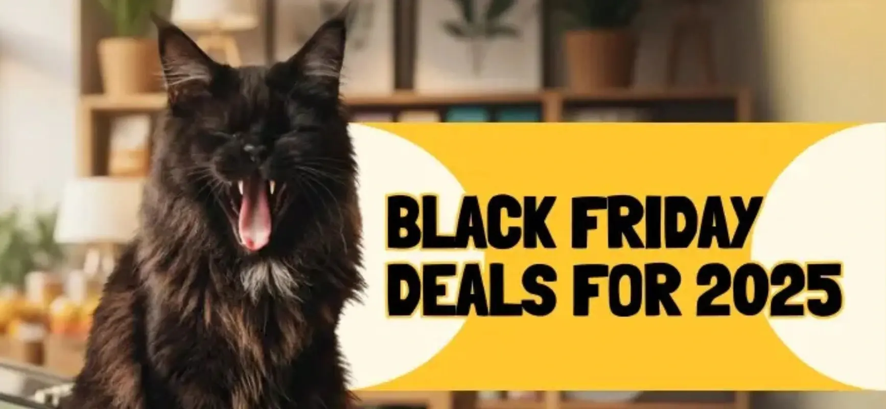 Black Friday 2025 promotional banner showcasing various deals and discounts available for shoppers.