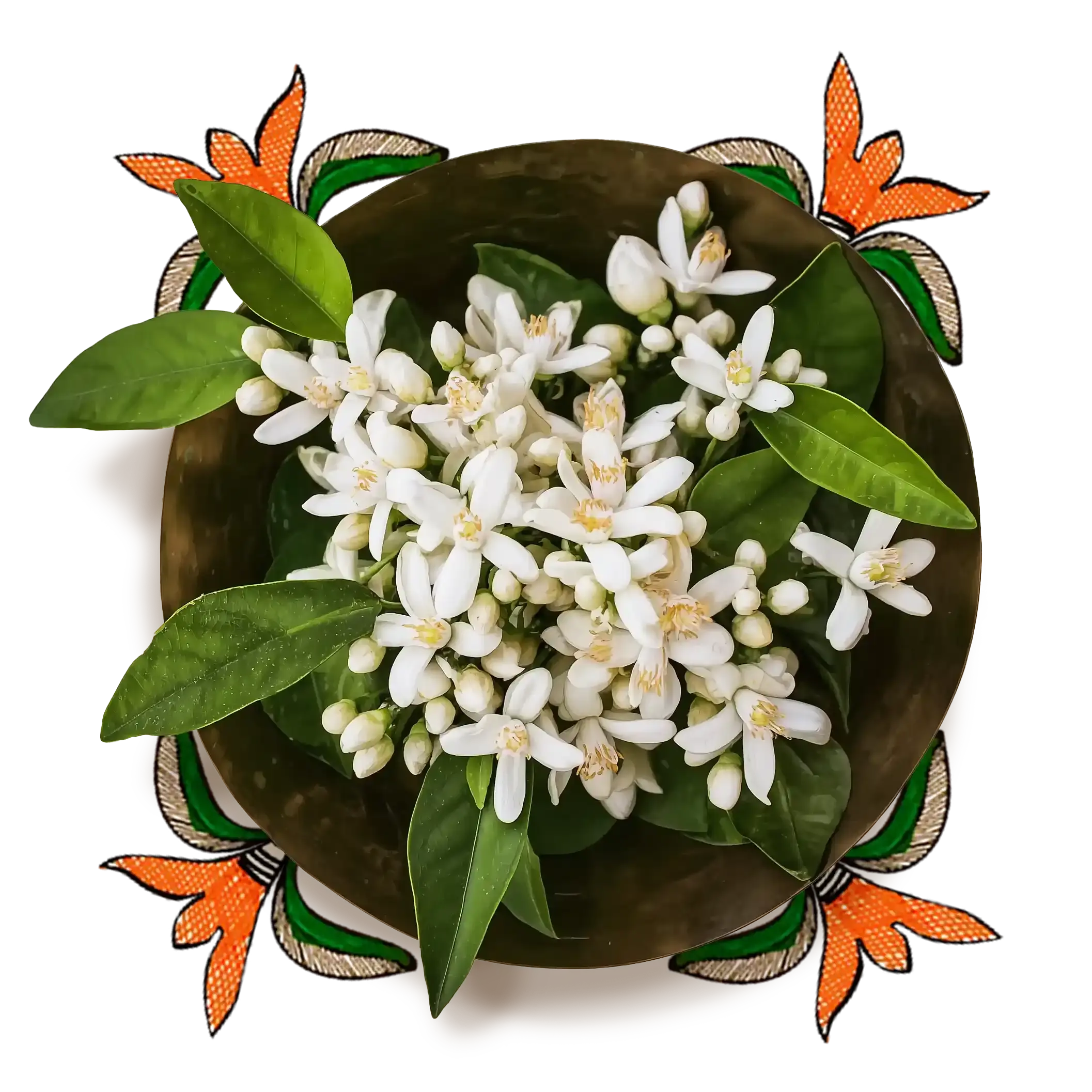 Neroli