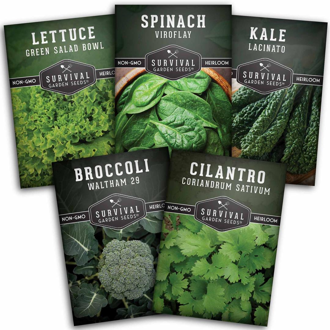  Fall Winter Vegetable Seeds Collection, 3000 Seeds, 9 Heirloom  Non GMO Varieties, Broccoli, Cabbage, Carrot, Cauliflower, Kale, Romaine  Lettuce, Sweet Peas, Radish, Spinach. : Patio, Lawn & Garden