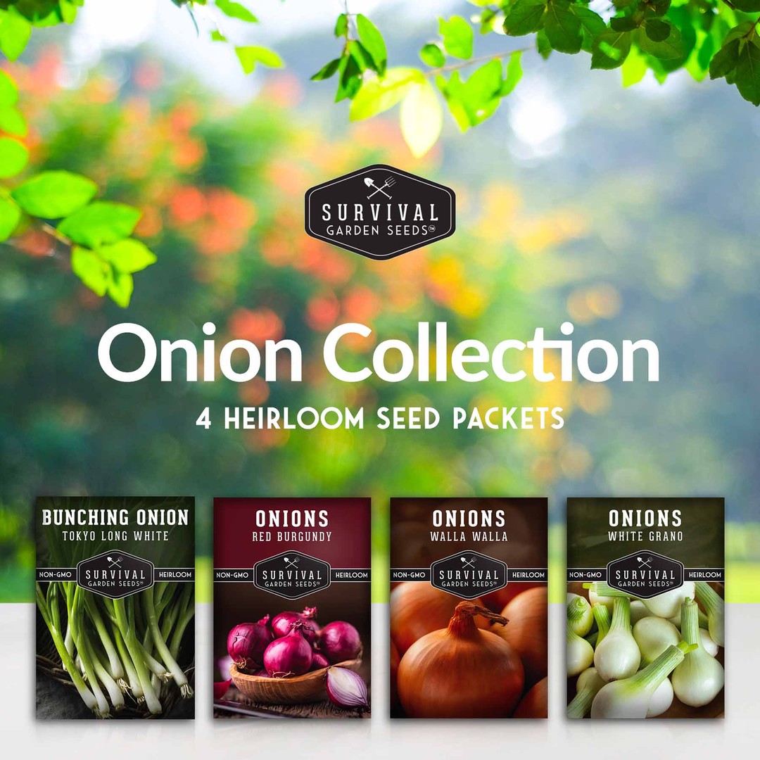 Onion Collection - 4 heirloom seed packets of onions