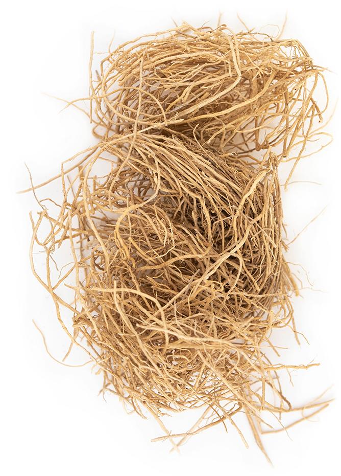 VETIVER (VETIVERIA ZIZANIOIDES) ROOT