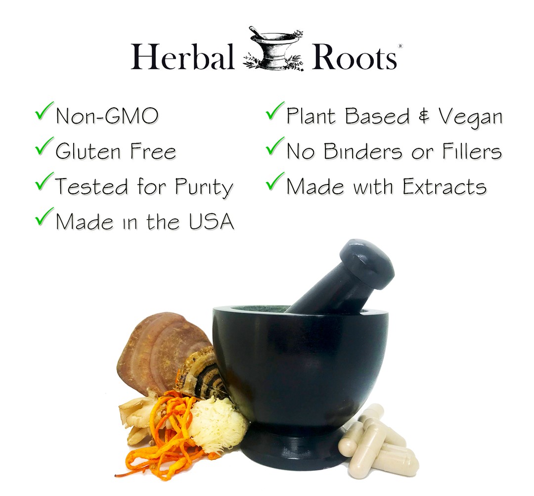image of a black mortar and pestle with a variety of mushrooms on the left of it and herbal roots mushroom pills on the right. Above the image the text says Herbal Roots - non-gmo, gluten free, tested for purity, made in the usa, plant based and vegan, no binders or fillers, made with extracts.